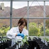 Plant Research 1